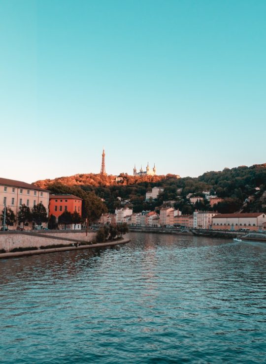 Lyon Lyon